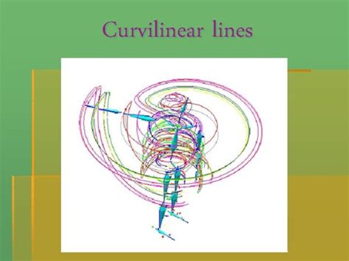 What are curvilinear lines