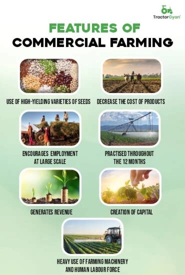 What are five types of commercial agriculture