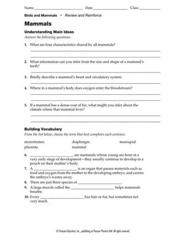 What are four characteristics shared by all mammals