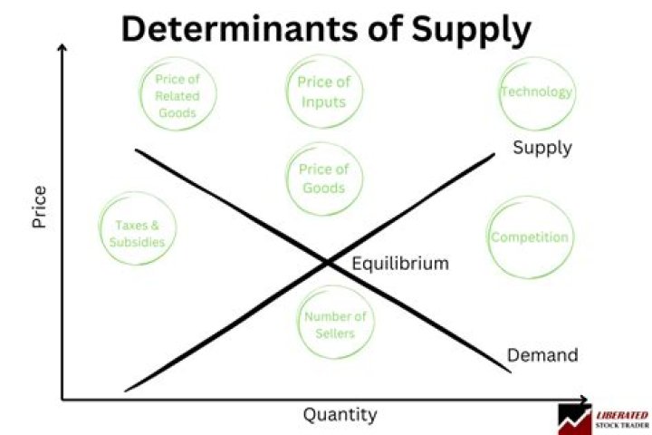 What are the determinants of money supply