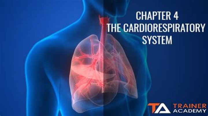 What are the four components of cardiorespiratory training