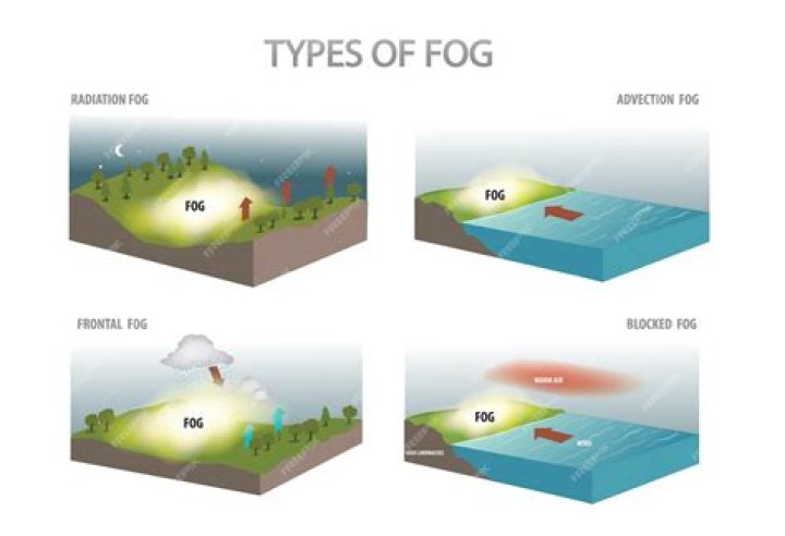 What are the four types of fog