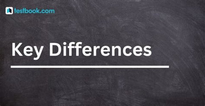 What are the key differences between reports and proposals