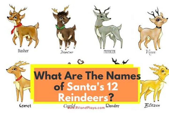 What are the names of santas 12 reindeers