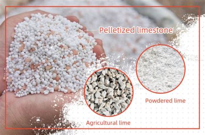 What are the types of agricultural lime