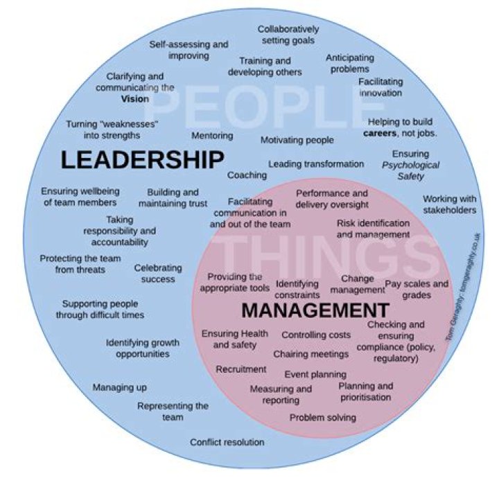 What can I do with a MSN in leadership and management