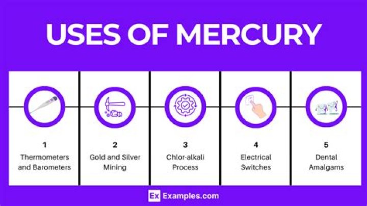 What can mercury do to a fetus