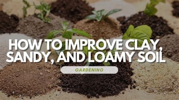 What can sandy loam be used for