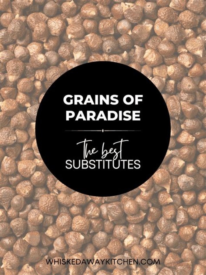 What can you substitute for grains of paradise