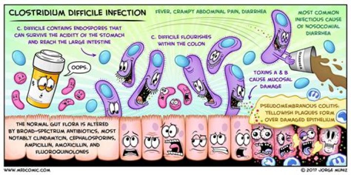 What causes Clostridium difficile