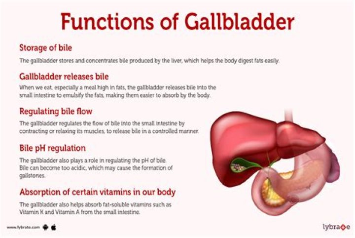 What causes the gallbladder to fail
