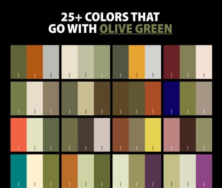 What color goes well with olive?