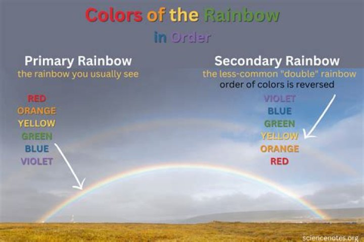 What Colours can you see