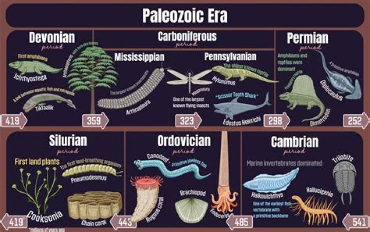 What could cause the Paleozoic sea level to fall in a marine regression