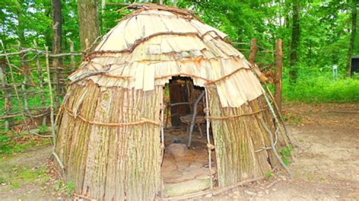 What did American Indians use to make their clothing and shelter?