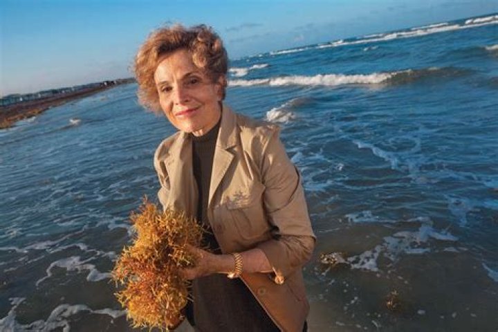 What did Sylvia Earle discover