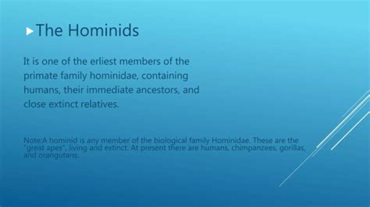 What distinguishes a member of the hominidae family