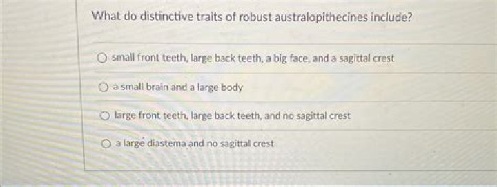 What do distinctive traits of robust australopithecines include