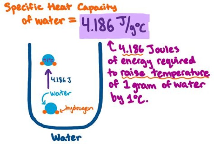What do you predict might happen if water has a low specific heat instead
