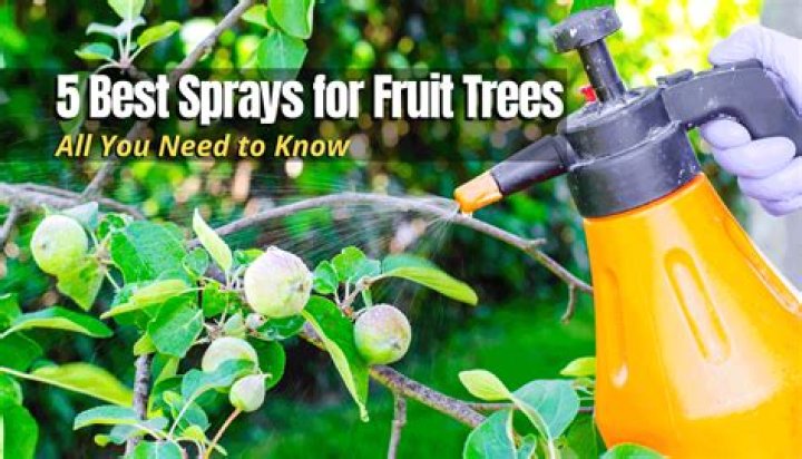 What do you spray on pear trees