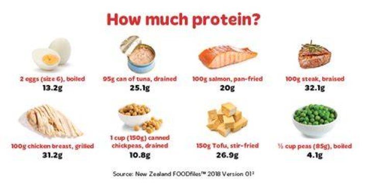 What Does 75 Grams Of Protein Look Like