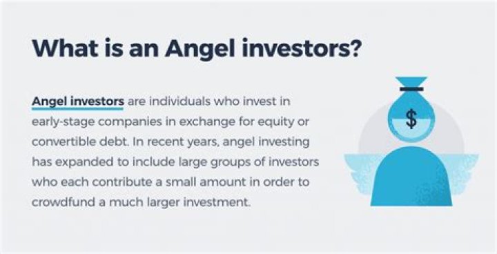 What does angel investor mean