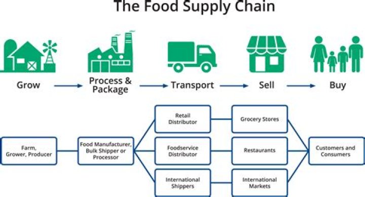 What does Avi Foodsystems stand for