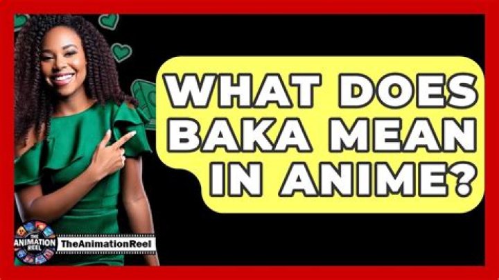 What does baka mean - How To Discuss