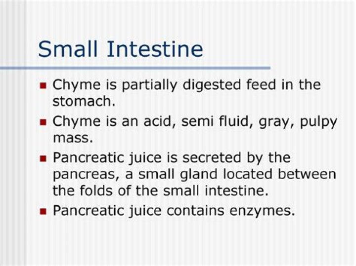 What does Chyme become in the large intestine