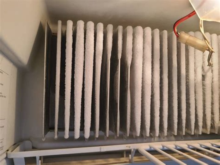 What does EO mean on RV refrigerator?