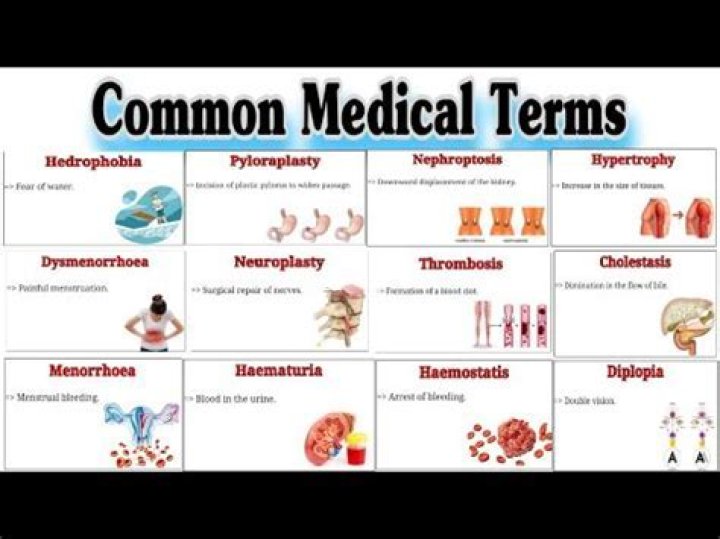 What does IDR mean in medical terms