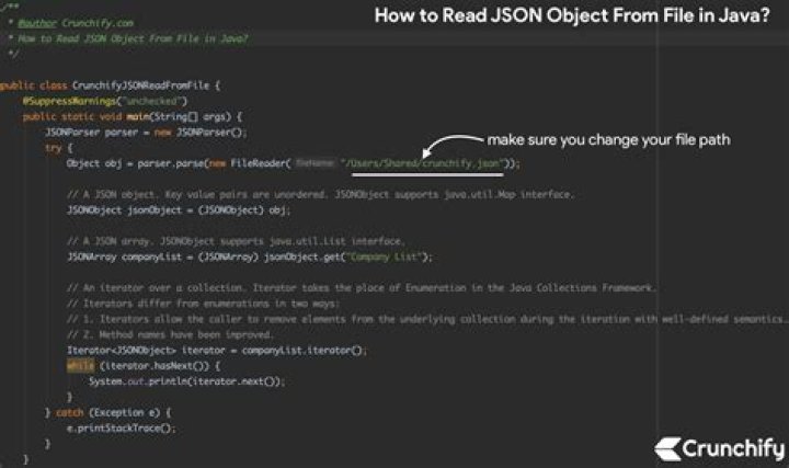 What does JSON () return
