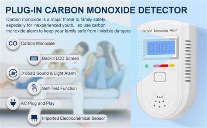 What does LP mean on a carbon monoxide detector?