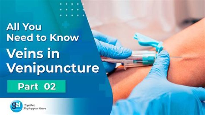 What does Phleb mean in medical terminology