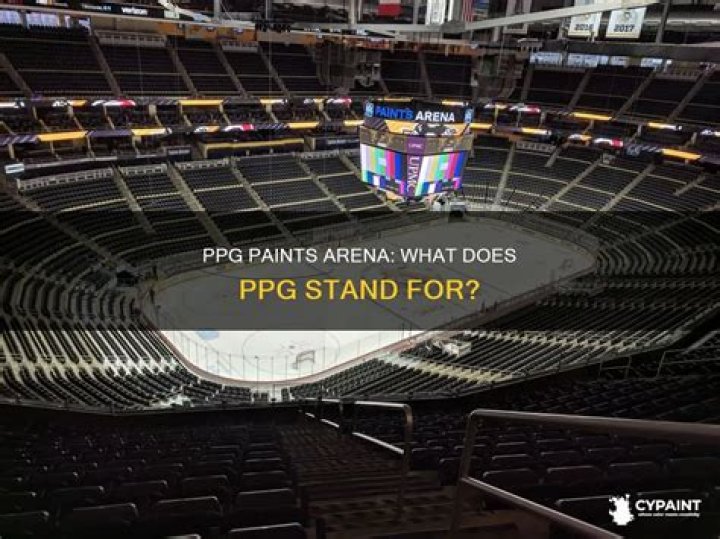 What does ppg stand for in ppg paints