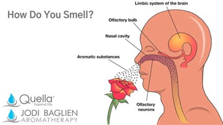 What does randomly smelling sulfur mean?