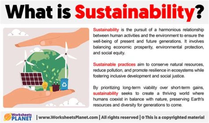 What does sustainability mean
