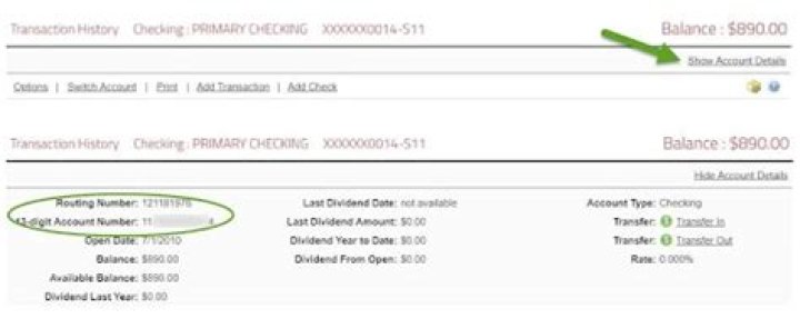 What Does Teller Withdrawal Mean On My Bank Statement