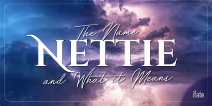 What does the name Nettie mean