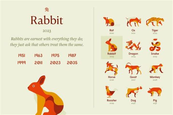 What does Year of the Rabbit mean