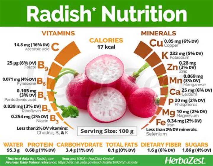 What family are radishes in