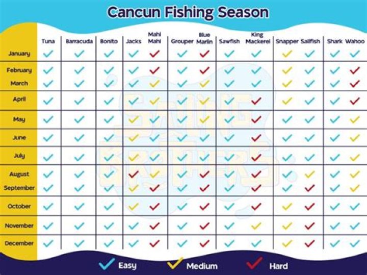 What fish are in season in Cancun