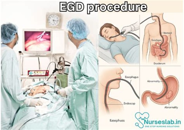 What happens during an EGD procedure