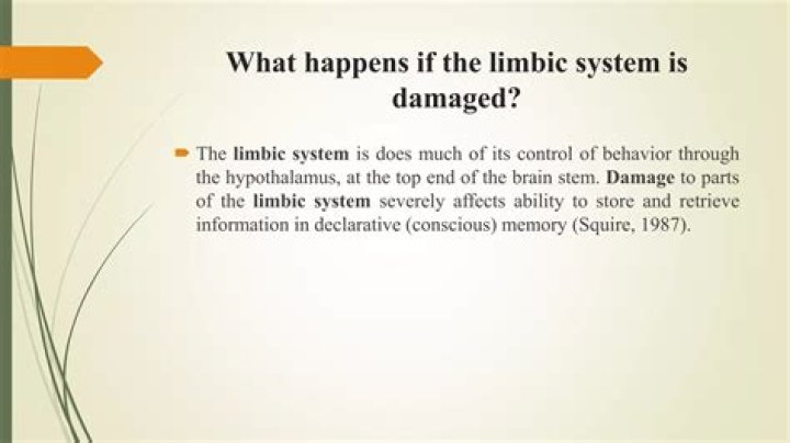 What happens if the limbic system is damaged