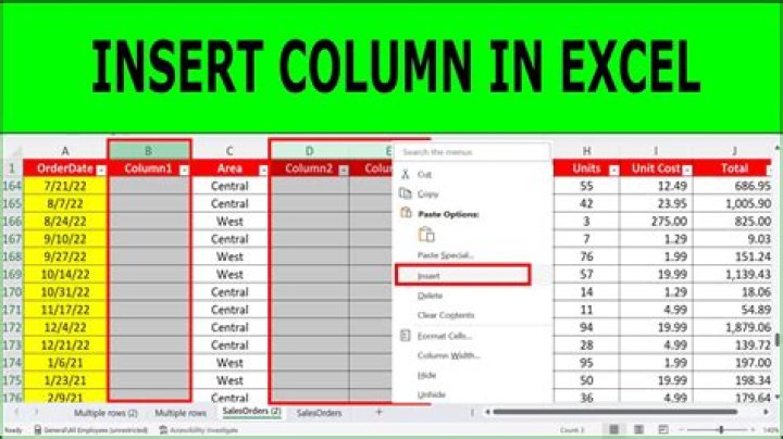 What is a 4 column account