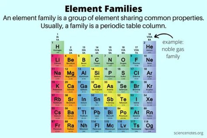 What is a family of elements called
