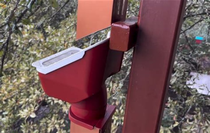 What is a leaf eater