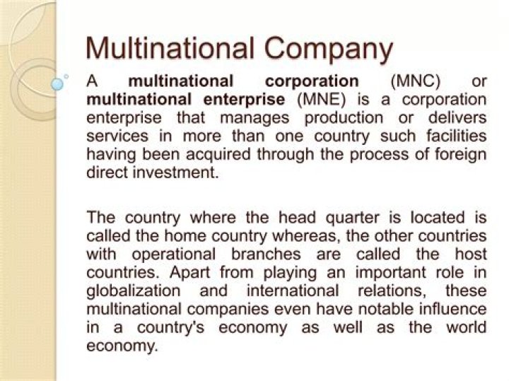What is a multinational corporation example