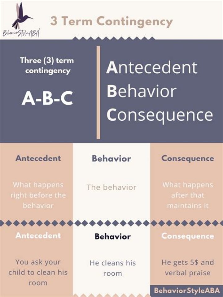 What is a reinforcement contingency