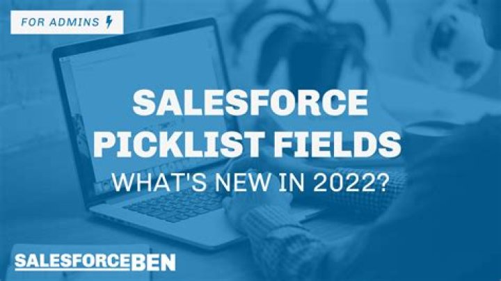 What is a restricted picklist in Salesforce